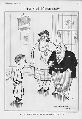 HM BATEMAN Intelligenz oder bloße Mückenstiche - antiker Comic Druck 1923