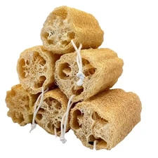 6 Pack Natural Luffa Loofah Sponges Exfoliating Body Scrubber with Hanging Loops