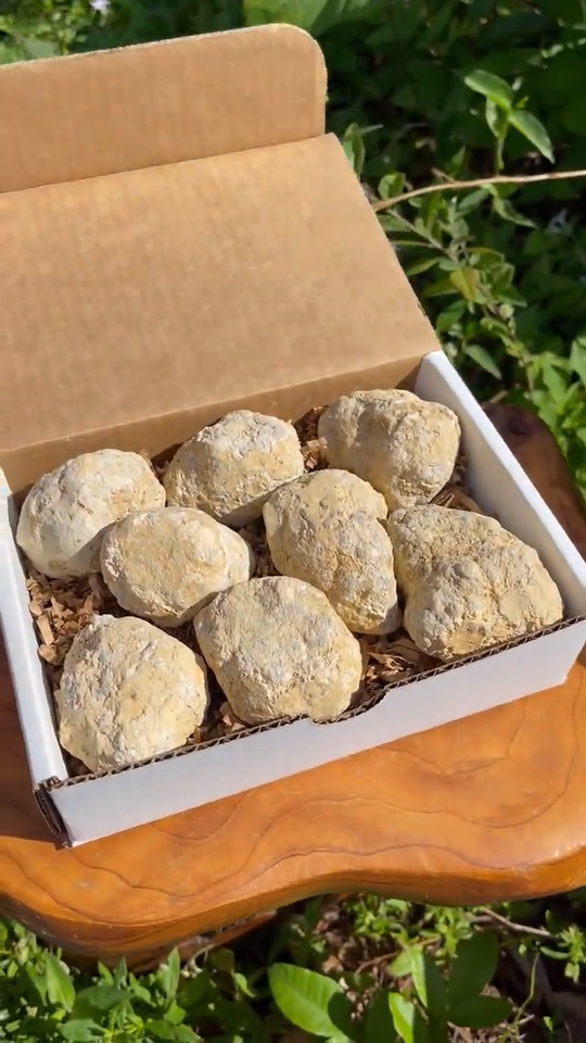 Break Your Own Geodes Gift Box (8 - 12 pcs) Large Unopened Moroccan ...