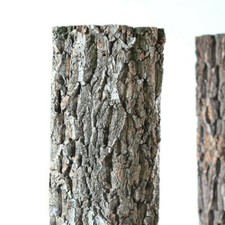 1 Pièce Fond Décorative En Liège Écorce D'Arbre 50x20cm Pour Terrarium Plantes