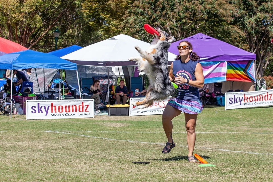 Hyperflite K 10 Jawz Ultimate Dog Flying Disc 875 Inch Puncture Resistant - Image 3 of 4