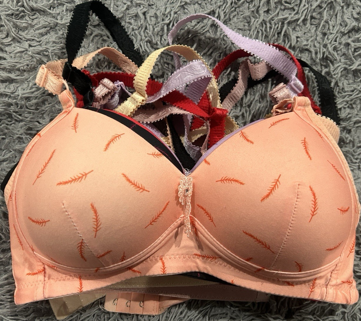 Women's 2XL Feather Print Padded T-Shirt Bra Set, Assorted Colors