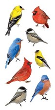 Stickers Crafts Paper House Slim Colorful Backyard Birds Cardinal Repeats Blue