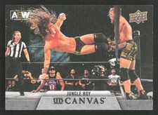 2021 Upper Deck AEW Jungle Boy Canvas #C-4 Card