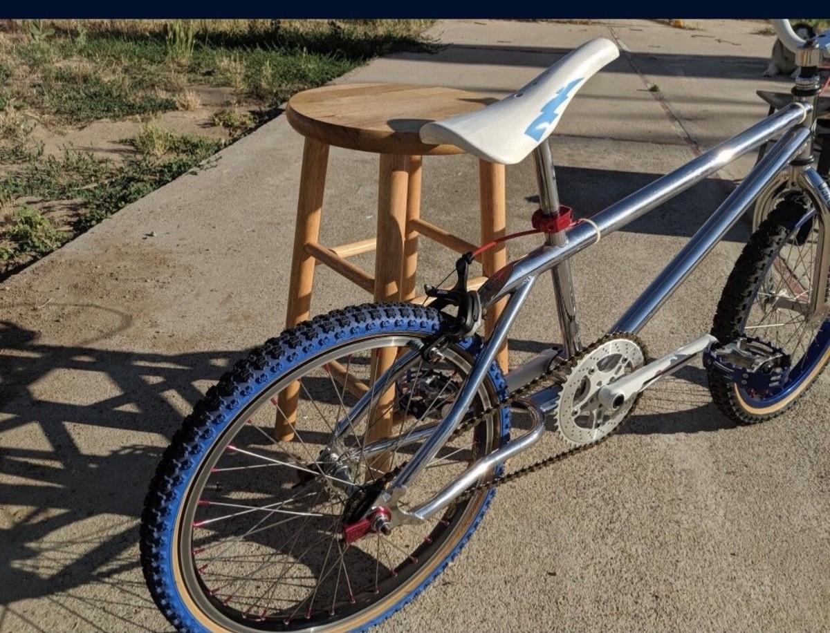 1991 SE Assassin BMX Bike 4130 Chromoly XL | eBay