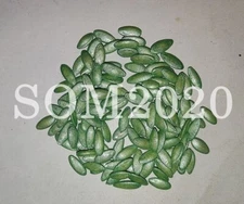 Cucumber seeds, 25 encrusted seeds cucumber AJAX F1 Netherlands SW1101+TRACK №