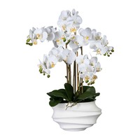 KüNstliche Orchidee, Phalaenopsis, Weiß, HöHe Ca. 75 Cm