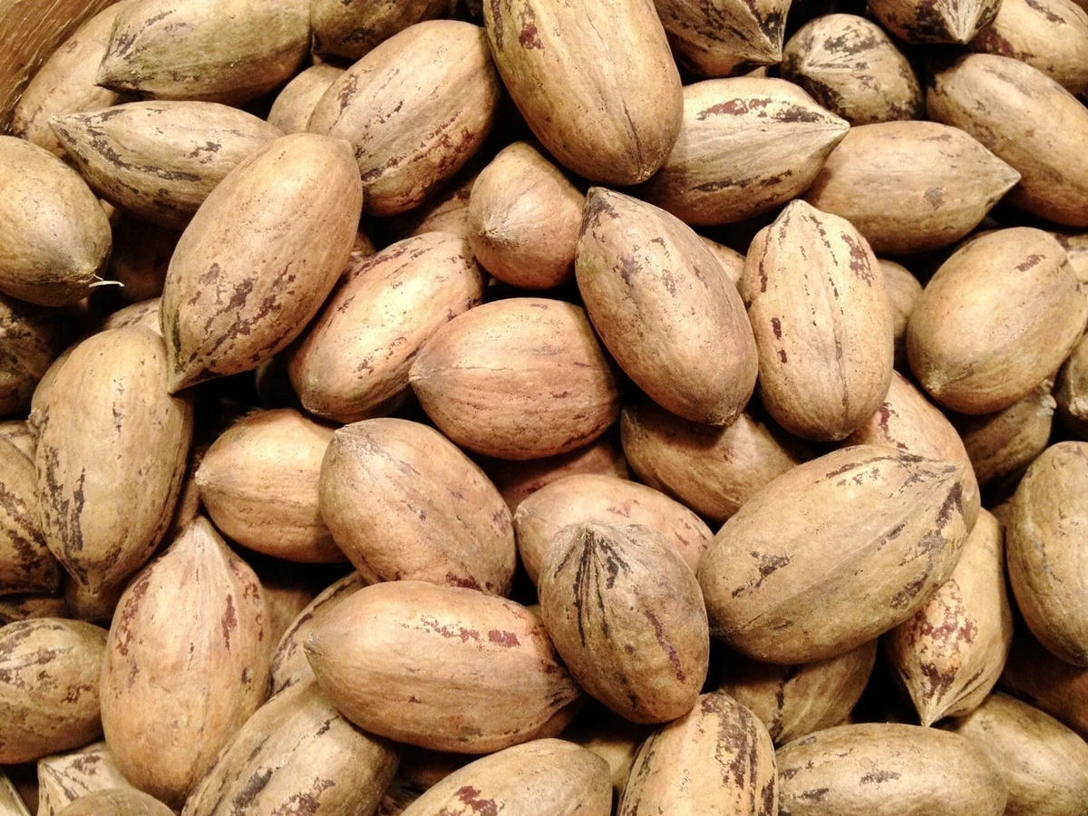 Pecan Whole