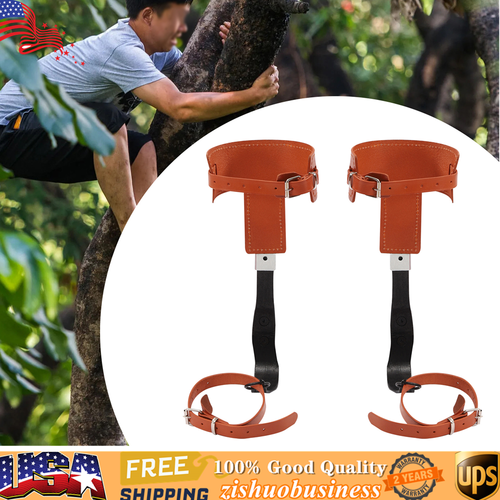 Tree Climbing Spike Set Adjustable Safety Belt Gloves Lanyard Rescue Belt 440lbs