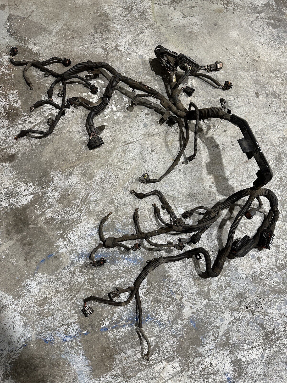 04 05 LLY DURAMAX LLY ENGINE HARNESS INJECTOR FICM WIRING HARNESS ON