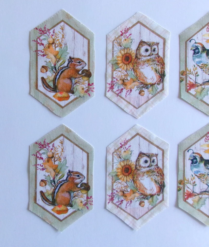 Fabric Cotton - 8 Cut Hexagon Fall Critters 3 1/2" L x 2 1/8" W - Image 2 of 3