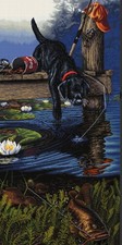 Diamond Art Club Ripples By James Meger Discontinued Retired Kit Dog Fishing NEW