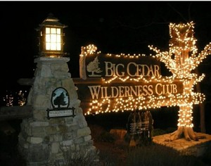 Big Cedar Wilderness 1BR  Lodge 8/11–8/14/26 | Sleeps 4 | Prime Summer Time