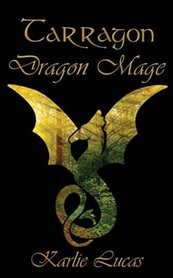 Tarragon: Dragon Mage                                                          