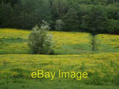 Photo 6x4 Meadow near Heapey Buttercups in profusion setting off the May  c2013