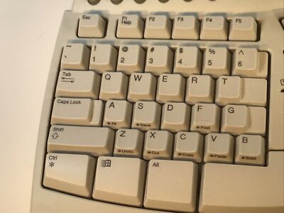 Microsoft Natural Ergonomic Keyboard Pro USB PS/2 Wired Keyboard