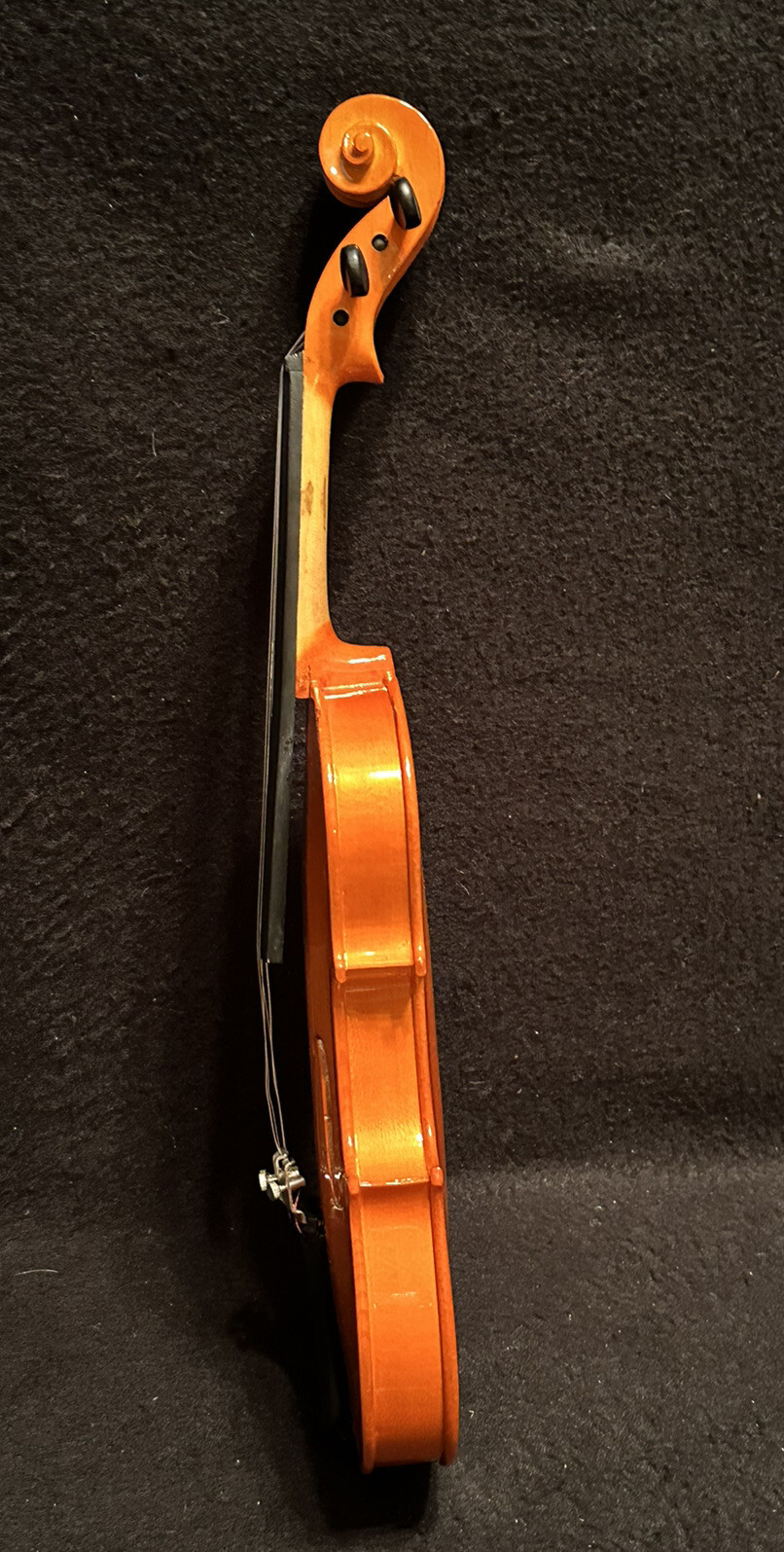 Picture 5 of 20