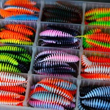 Trout Master Worm 65 65mm - 8pcs - SPRO