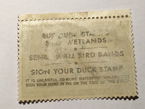 USED MIGRATORY BIRD HUNTING CONSERVATION STAMP 1970 - Picture 2 of 2