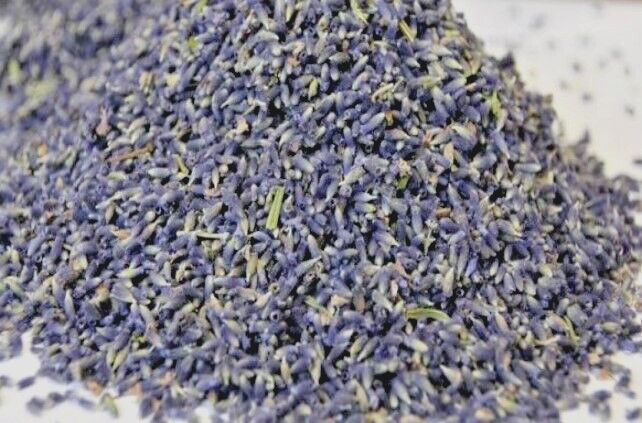 Lavender French Flower Buds Organic Dried 16oz / Fresh from farm Packed USA