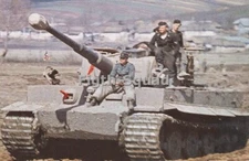 WW2 Picture Photo Panzer VI Tiger Tank Panzer Abteilung 506 Russia 8874