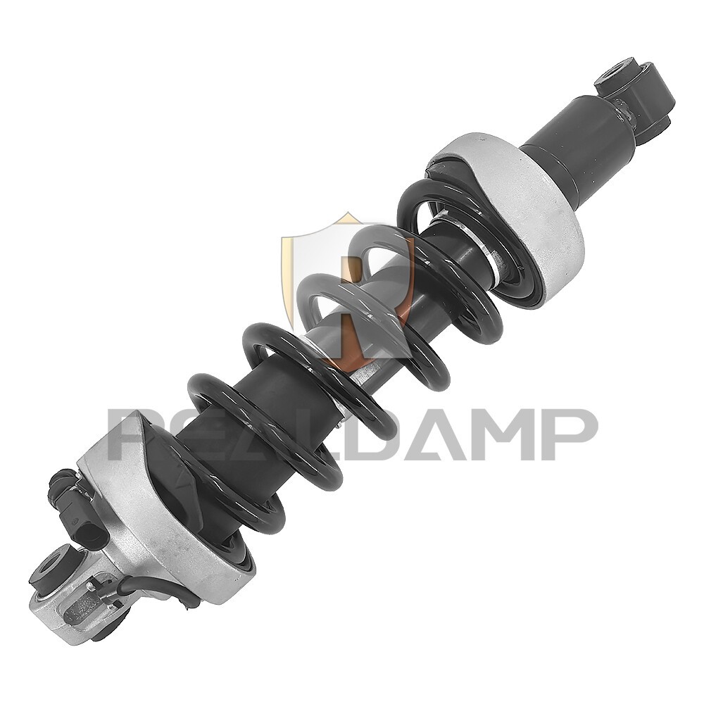 Rear Left Suspension Shock Strut Assy Magnetic Ride For Audi R8 V8 V10 GAS 07-15