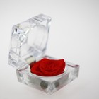 Foto 7 di 11