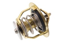 Thermostat Mazda 818
