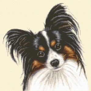 papillon puppies for sale trading post