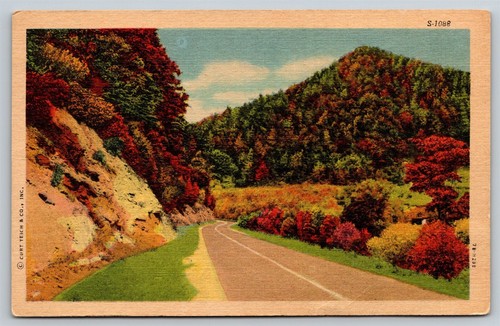 Alabama Piemont Mts. Leinen #S-1088 Postkarte, H1