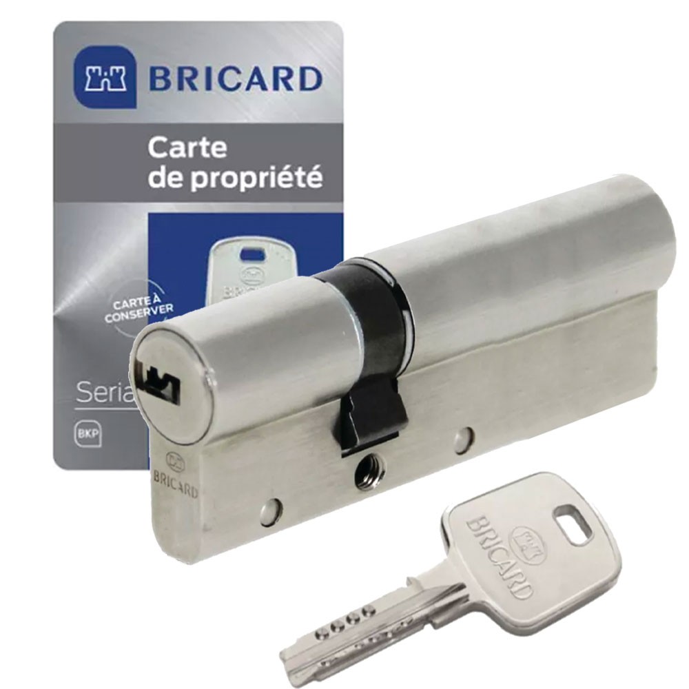 Cylindre de serrure coincé ? Changez pour ce barillet double entrée 35x55 mm 4 clés
