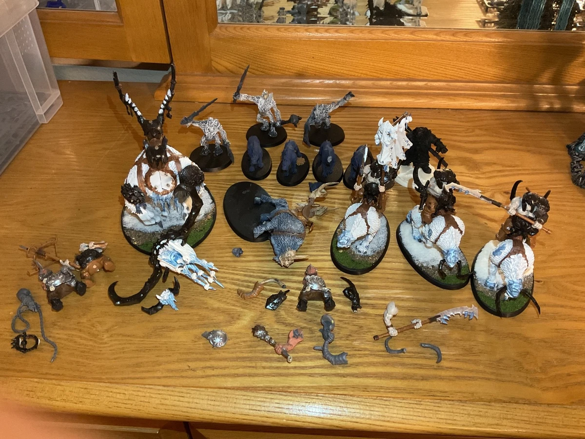 Age of Sigmar Beastclaw Raiders Warhammer Fantasy Chaos Fully