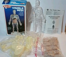 90s VISIBLE MAN Anatomy MODEL KIT #74622 Skillcraft Original Box Science Model