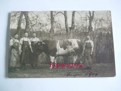 Original Photo Bull Being Led To Slaughter In WW1