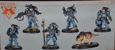 Warhammer 40k Kill Team: Space Wolves Wolf Scouts w/Cards and Tokens