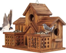 Bird Houses for outside Hole Bird House Room for Bird Families Large Bird