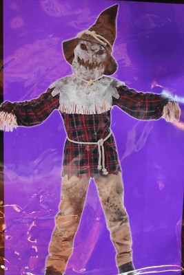TOTALLY GHOUL SCARECROW BOYS HALLOWEEN COSTUME LRG 10-12 GHOUL CREEPY WIZARD OZ