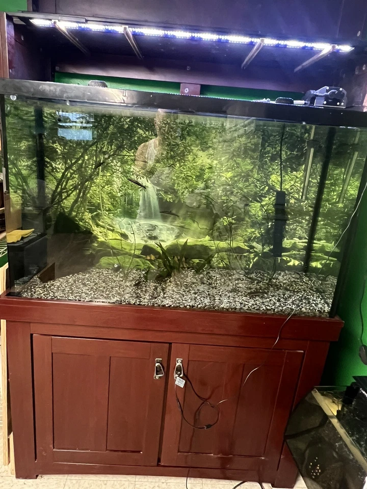 Acuario 110 galones Foto 2 de 2