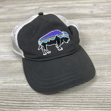 Patagonia Fitz Roy Buffalo Mesh Trucker Hat Cap Gray Snapback