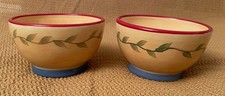 Pfaltzgraff Napoli Hand Painted 4.25” Ice Cream, Dessert, Dip Bowls, Set of 2