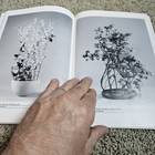 Picture 11 of 13