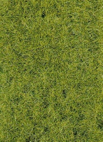 HEKI 3368 Grasfaser Wildgras Waldboden 5mm 75 gr. (100gr. €10,66) NEU - Bild 1 von 1