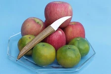 THAI KNIFE FRUIT VEGETABLE SOAP CRAFT COOKTOOL ART WOOD  2 KITCHEN STEEL BLADE