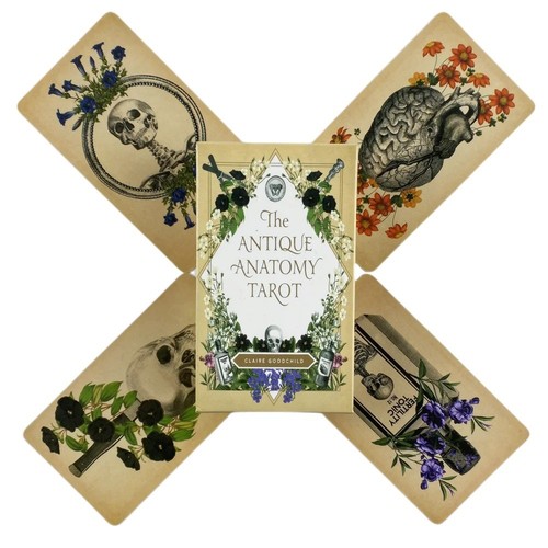Antique Anatomy Tarot Cards 78 Deck Oracle Divination Board Game Set | eBay