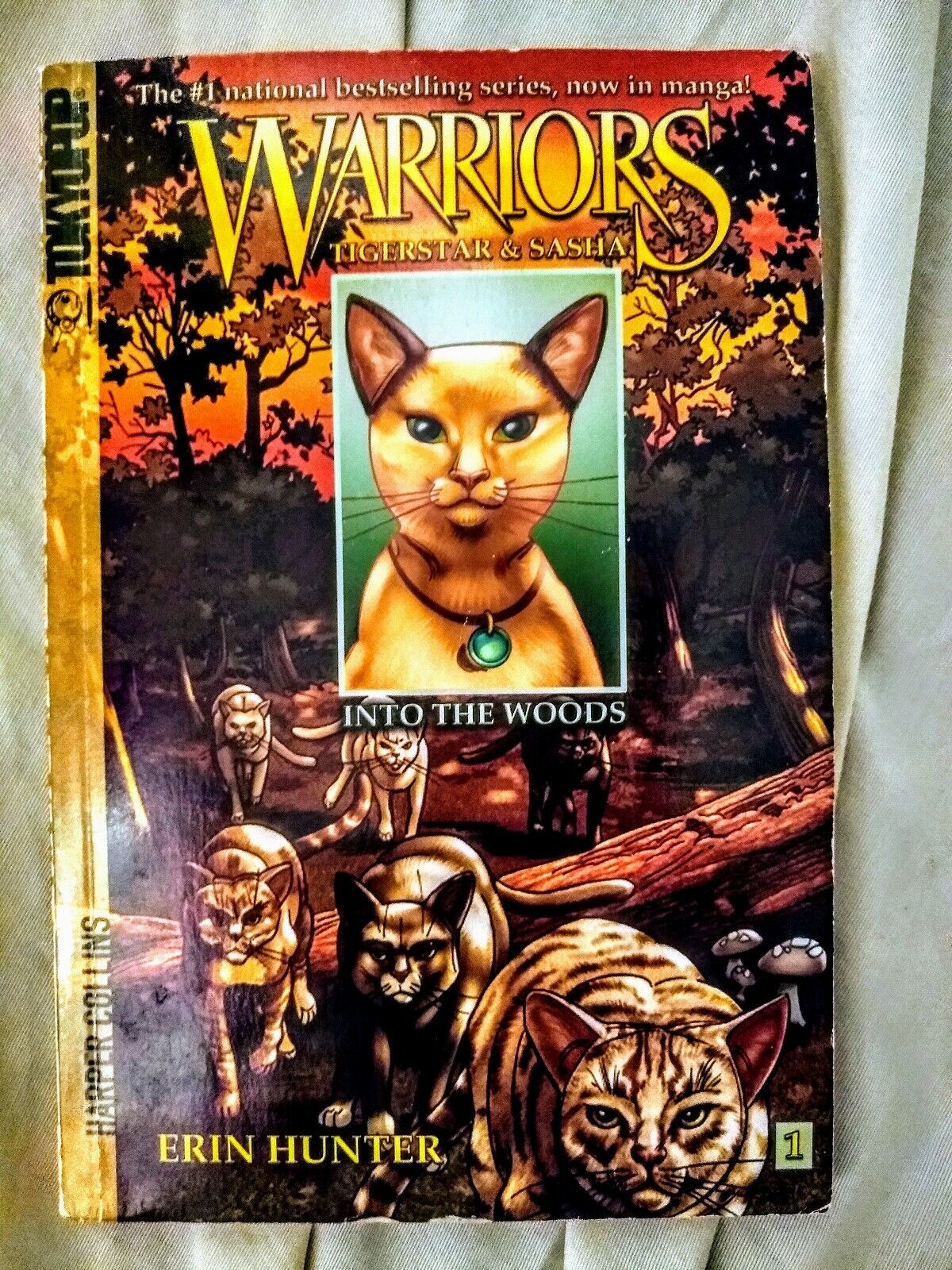 Warriors #1: Into the Wild – HarperCollins