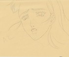 The Twelve Kingdoms Juuni Kokki Genga Douga Original Sketches Pierrot - Youko — photo 4