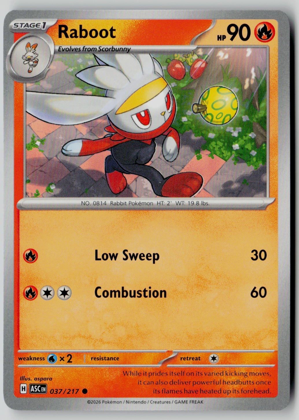 Raboot 037/217 ASC Common Pokemon