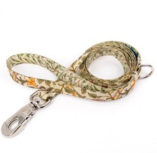 MORRIS daffodil - 1.00 inch dog leash - quality polyester fadeproof USA made