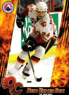 2007-08 Quad City Flames #2 David Van Der Gulik
