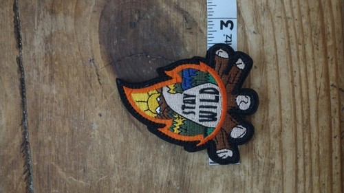 Iron on or Sew On Patches Cats, Goose, Barbie, Fire I'm Fine, Evil Eye - Picture 7 of 69